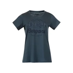 Best Bergans Graphic Wool W Tee - Orion Blue
