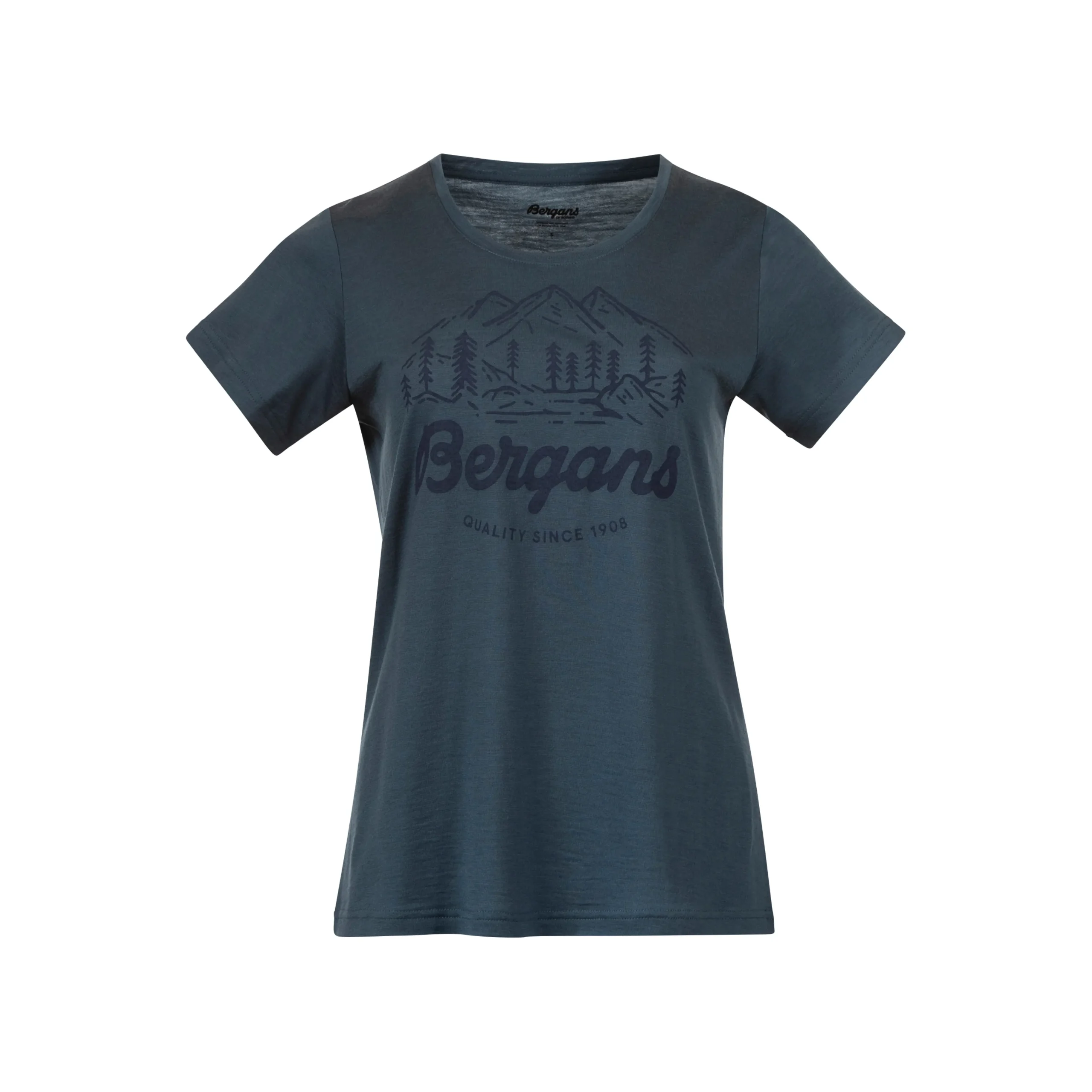 Best Bergans Graphic Wool W Tee - Orion Blue