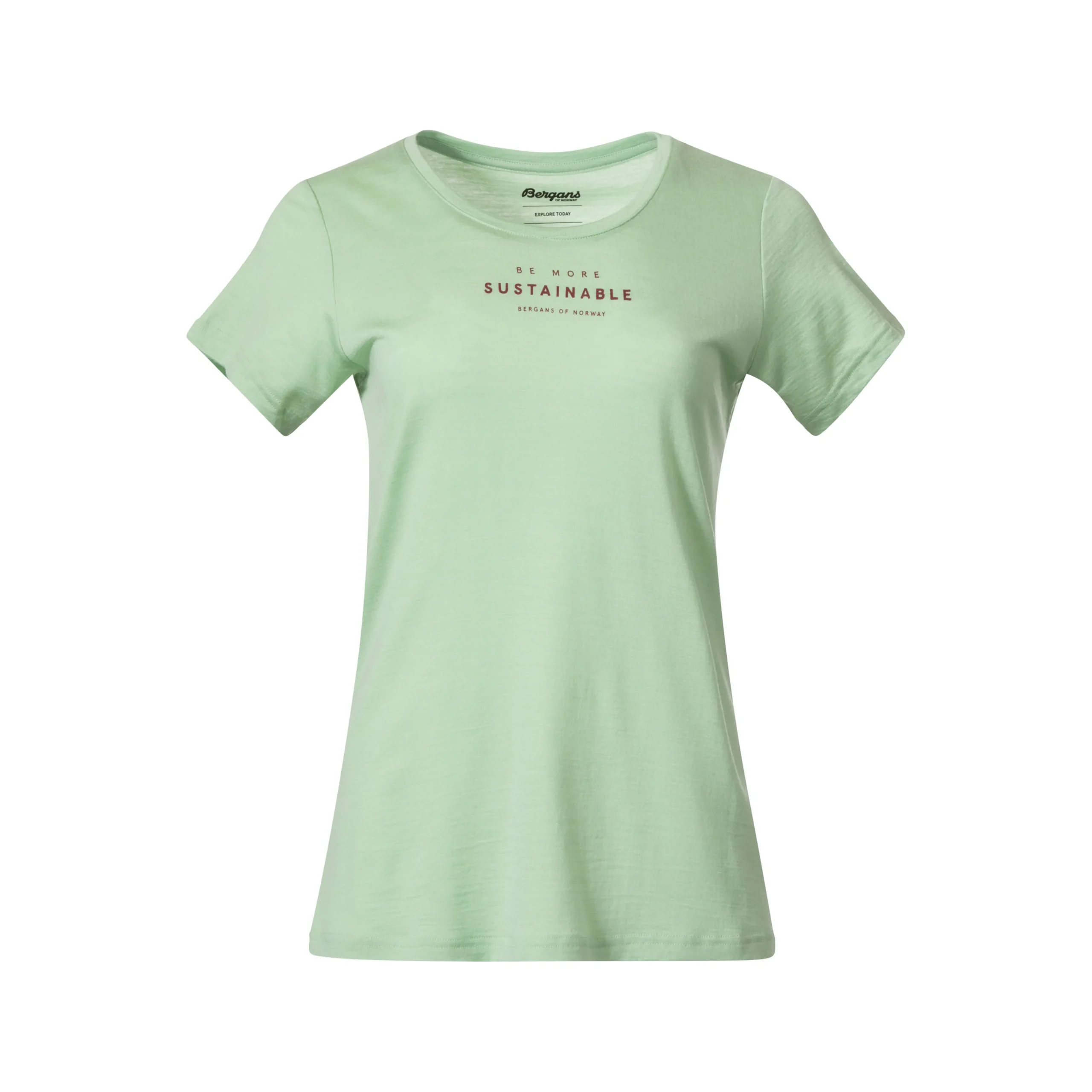 Cheap Bergans Graphic Wool W Tee - Light Jade Green
