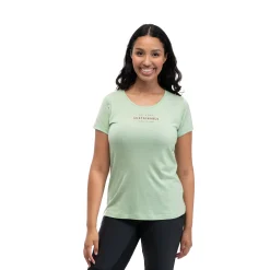Cheap Bergans Graphic Wool W Tee - Light Jade Green