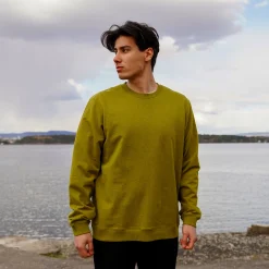 Shop Bergans Oslo Urban Comfy Sweater Unisex - Olive Green